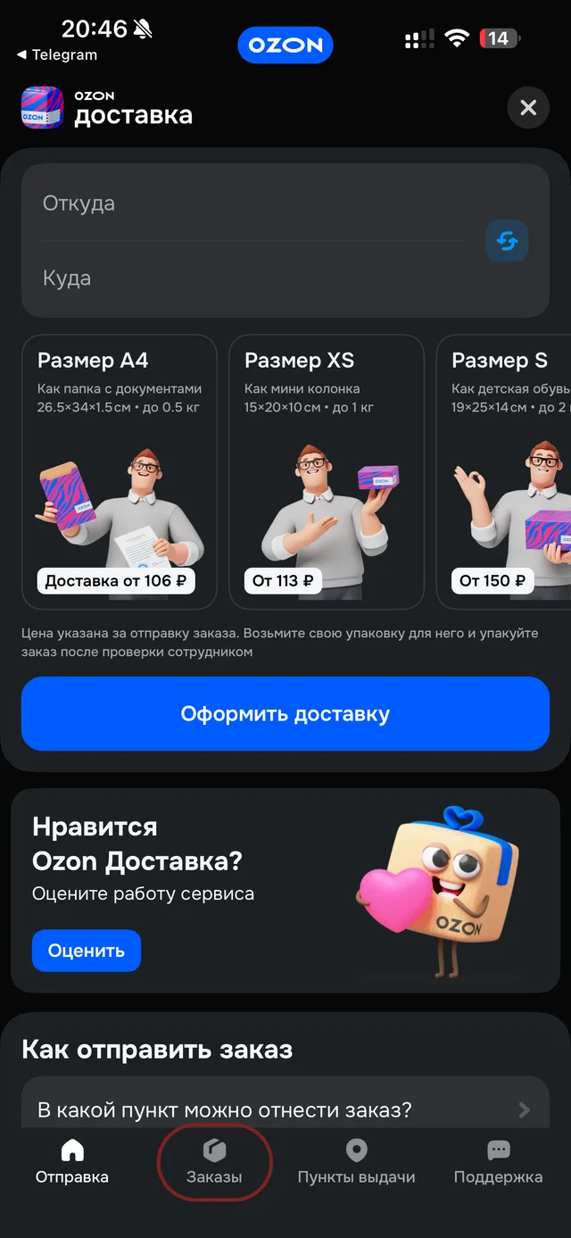 Раздел «Ozon Доставка», внизу выделена вкладка «Заказы»